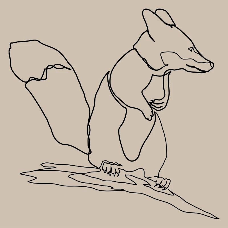 Fuchs Eichhörnchen Squirrel Fox