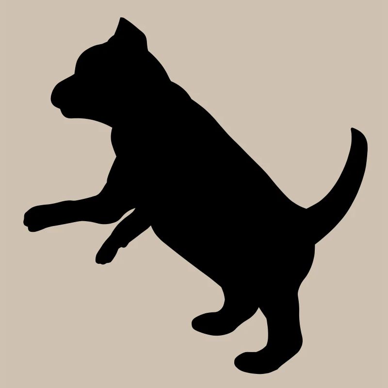 Ludique chiot