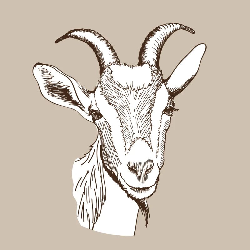 Goat