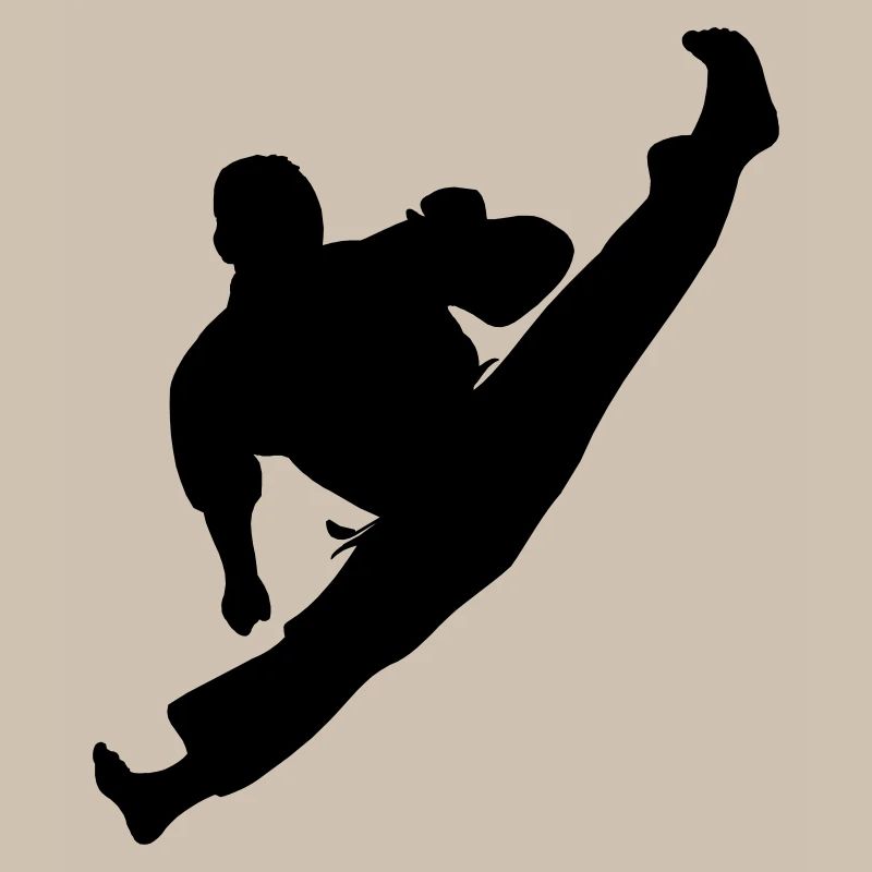 Jumpkick Geri Kick Karate oder Teakwondo