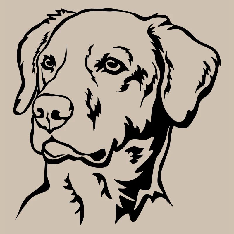 Labrador Head