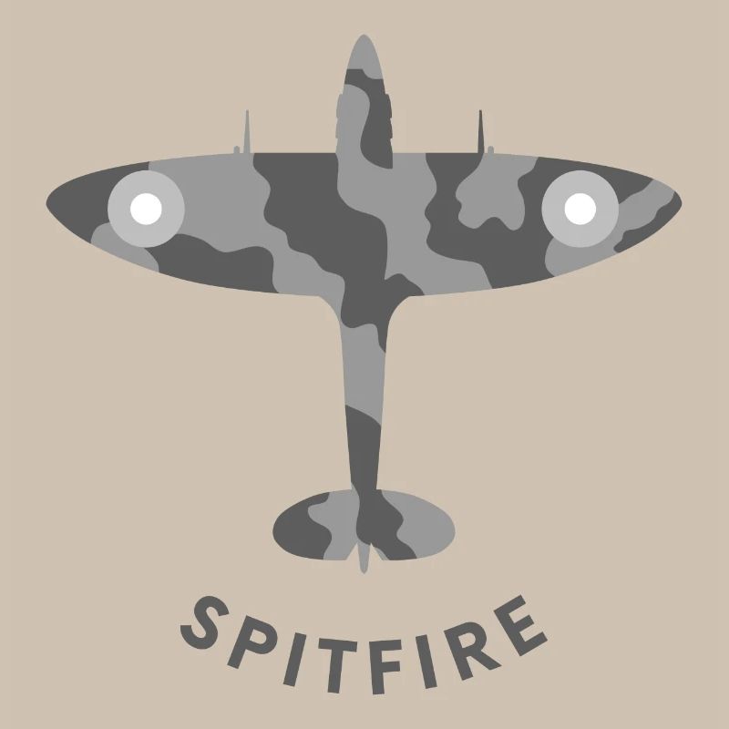Spitfire fighter plane