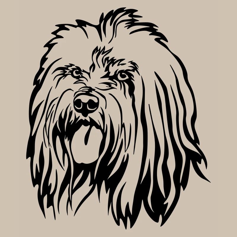 Tibet Terrier Kopf