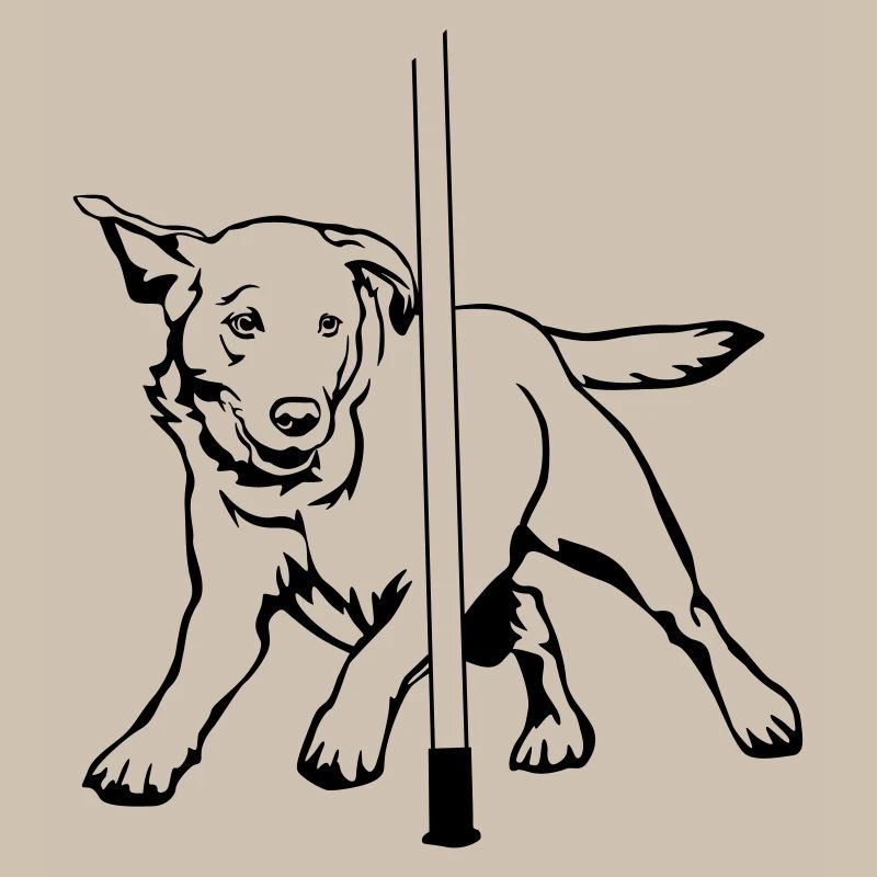 Labrador