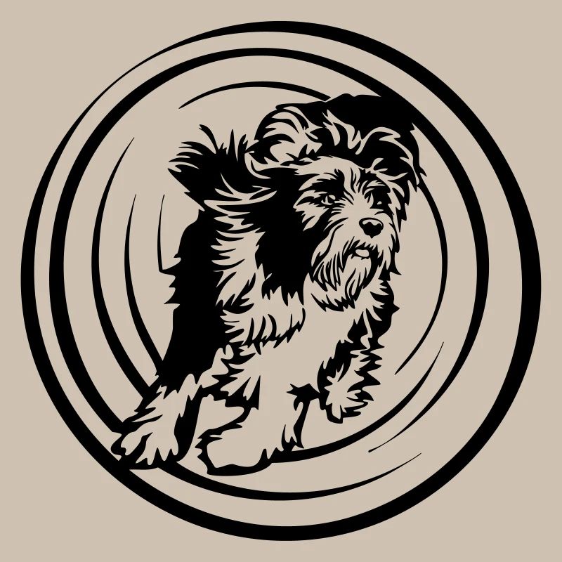Bearded Collie