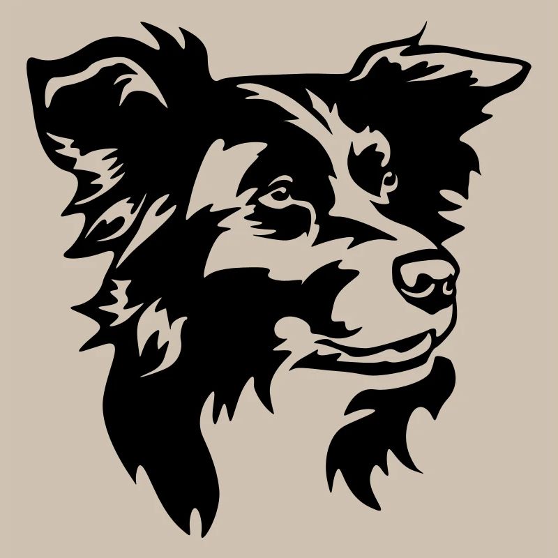 Tête de Border Collie