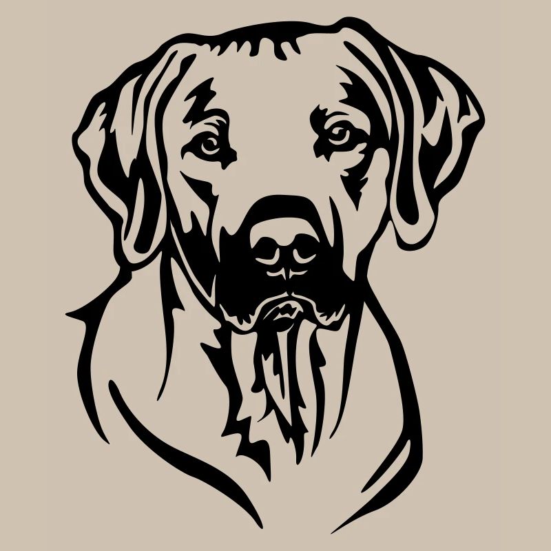 Rhodesian Ridgeback Kopf