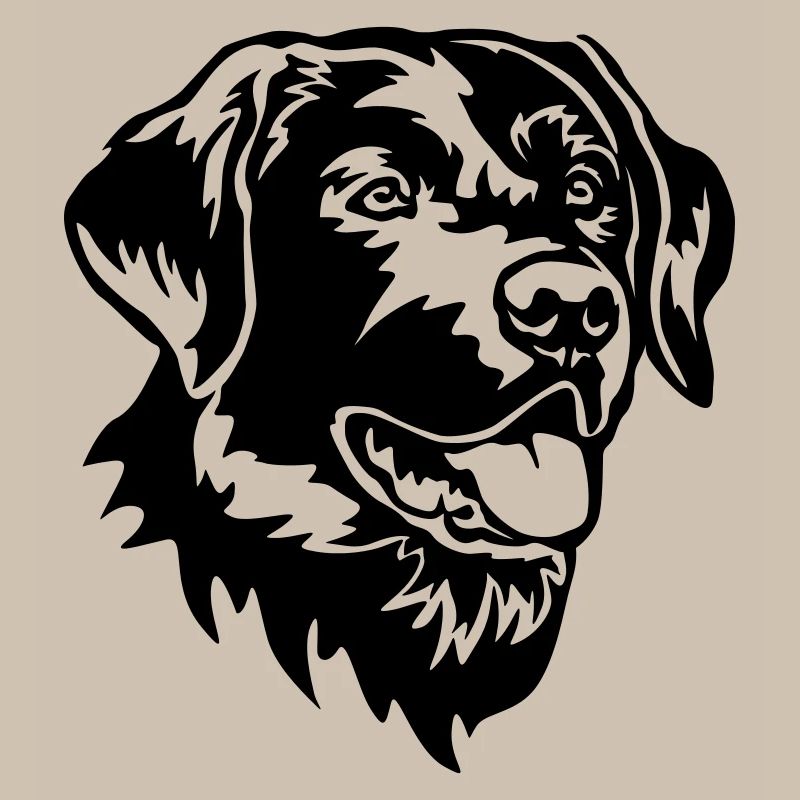Tête de Labrador