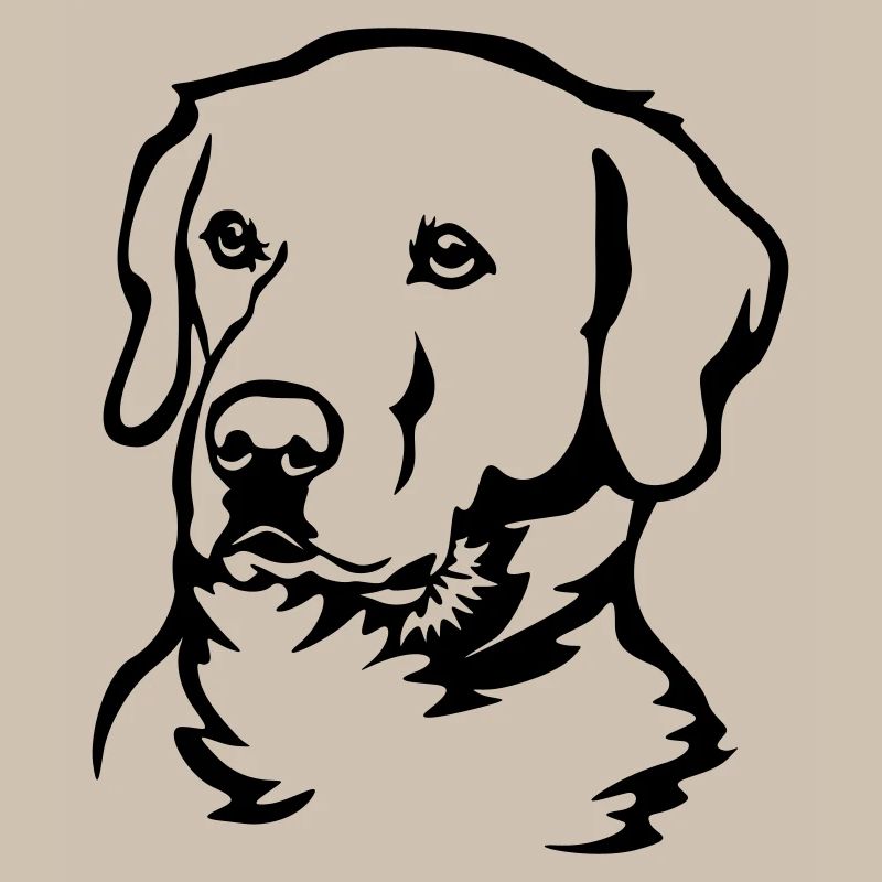Tête de Labrador