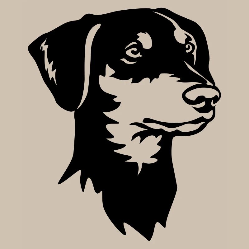 German Pinscher Head