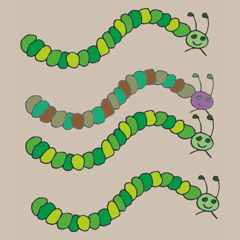 variété de chenille