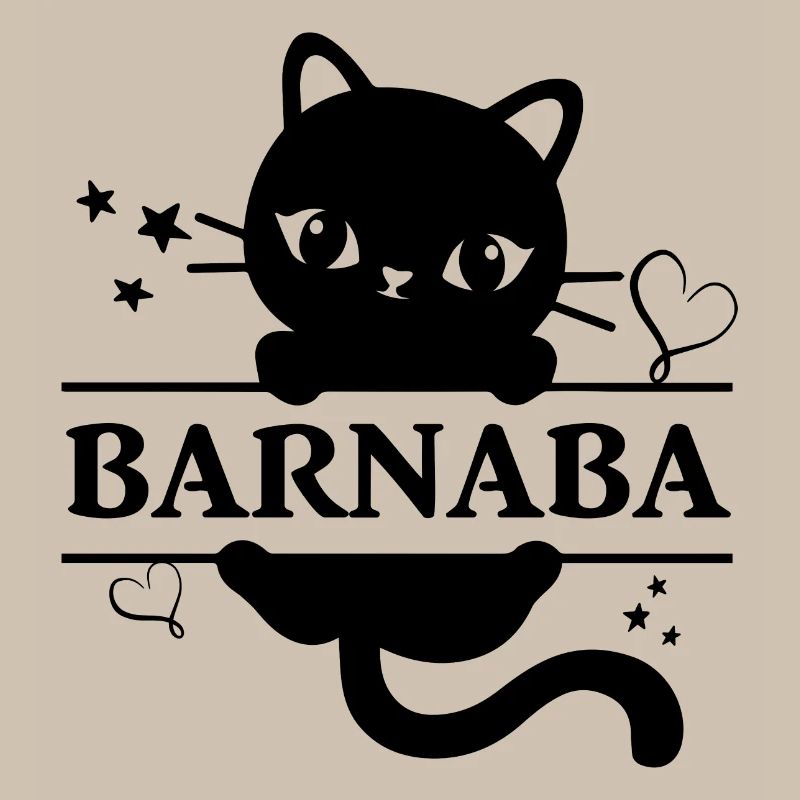 Barnaba t-shirt chat idée cadeau chat