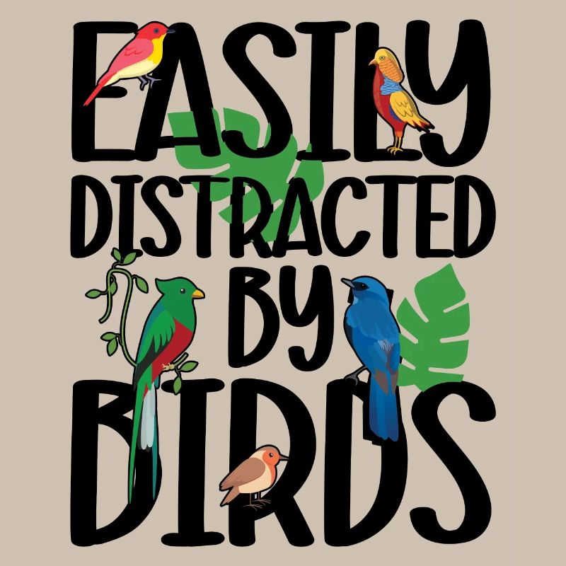 Facilement distrait par les oiseaux