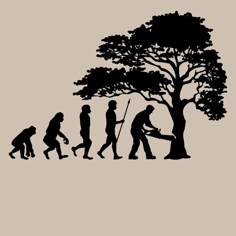 Lumberjack Tree Evolution sciure de bois