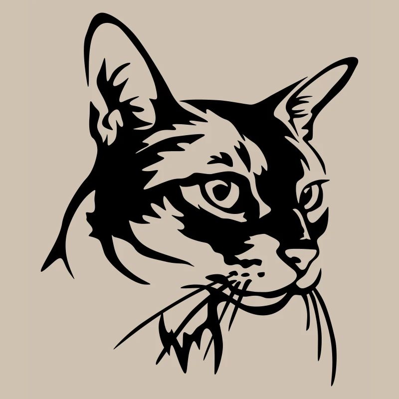 Abessiner Katze