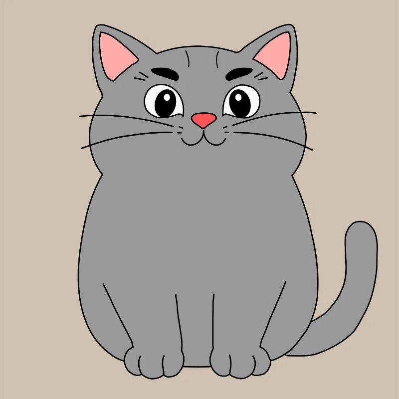Chat gris