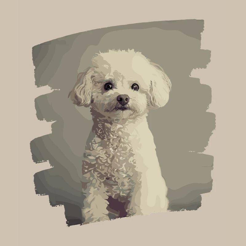 Caniche