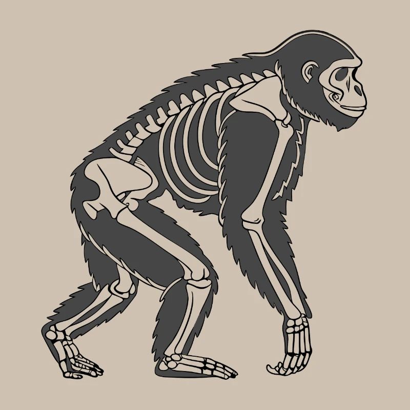Squelette de gorille - Conception d’animaux sombres dans le style vectoriel