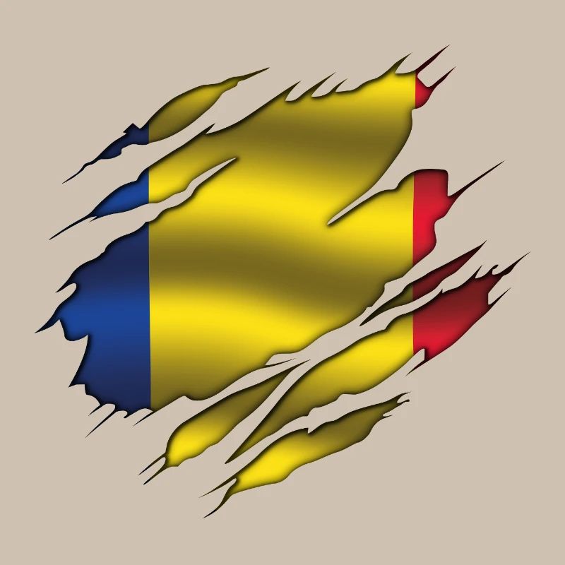 Drapeau de la Roumanie - Roumanie - Drapeau déchiré