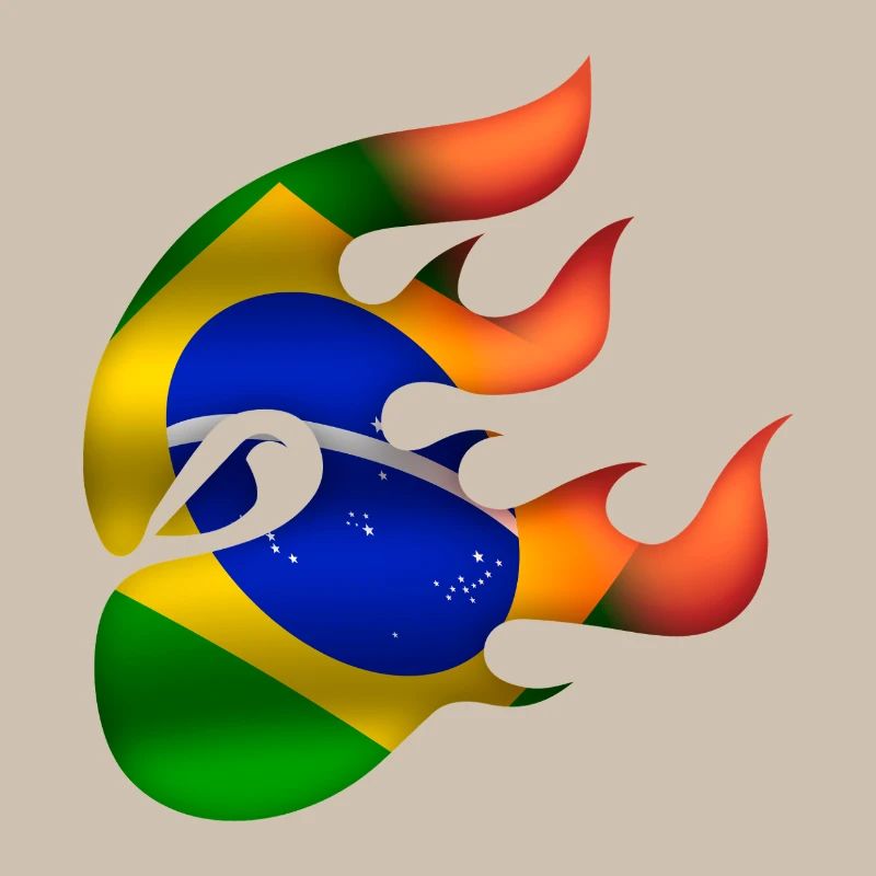 Drapeau du Brésil - Brésil - Ninja