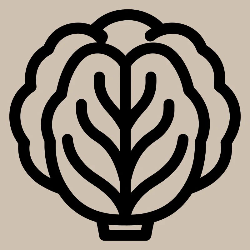 cabbage