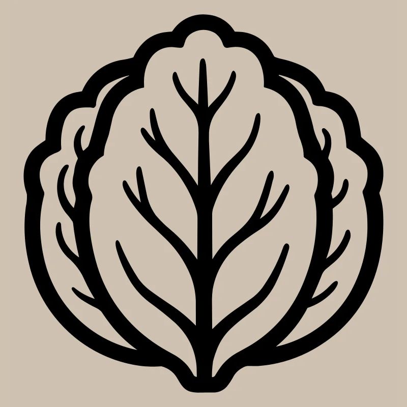 cabbage