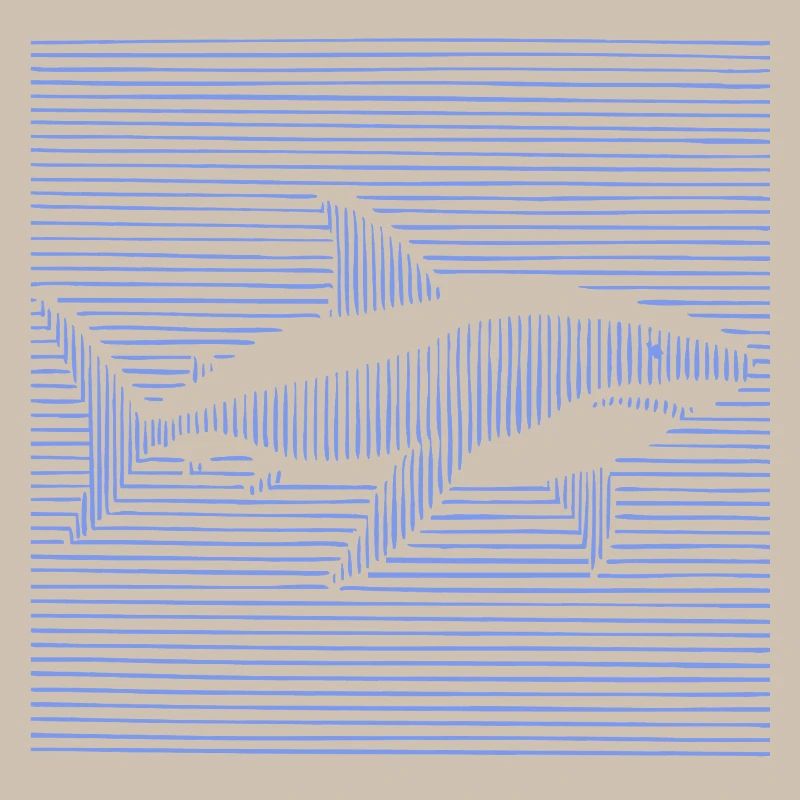 Requin
