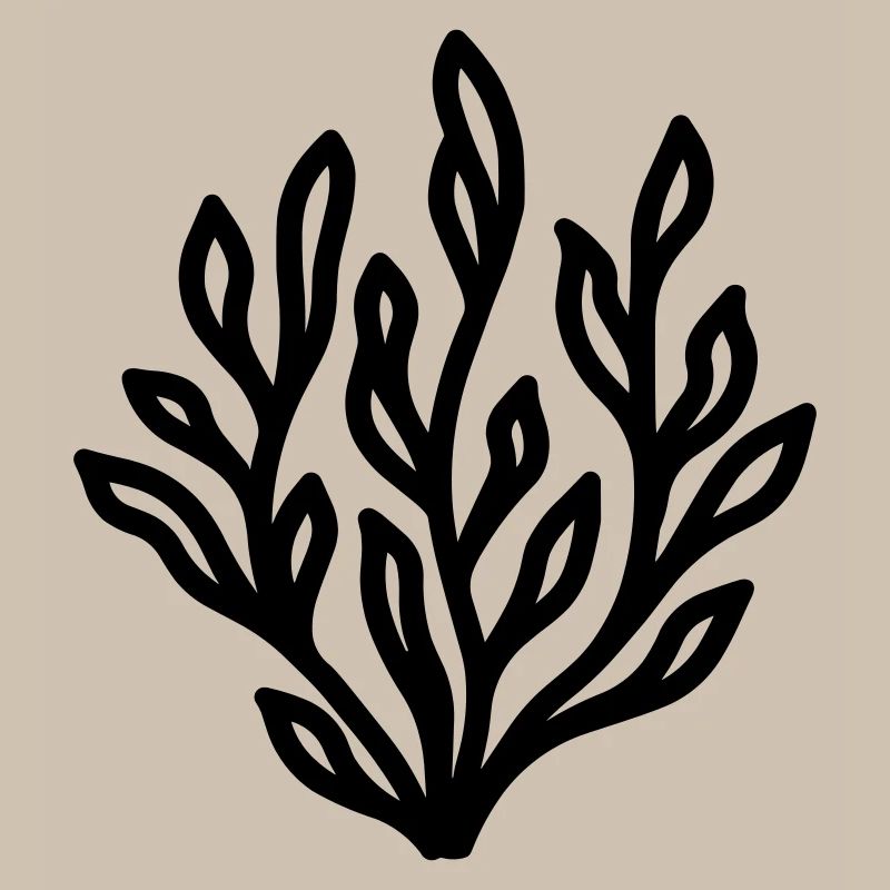 algue