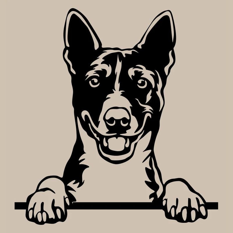 Chef Basenji