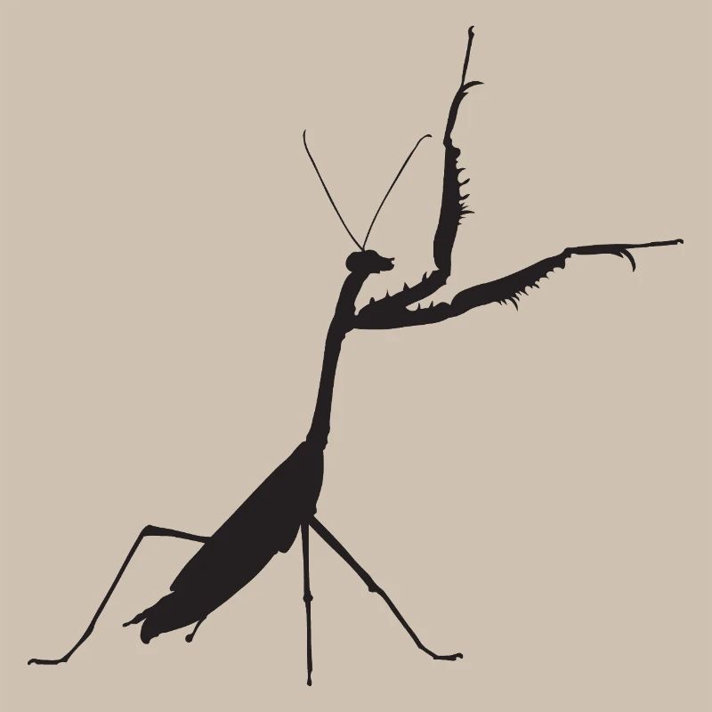 Praying mantis black