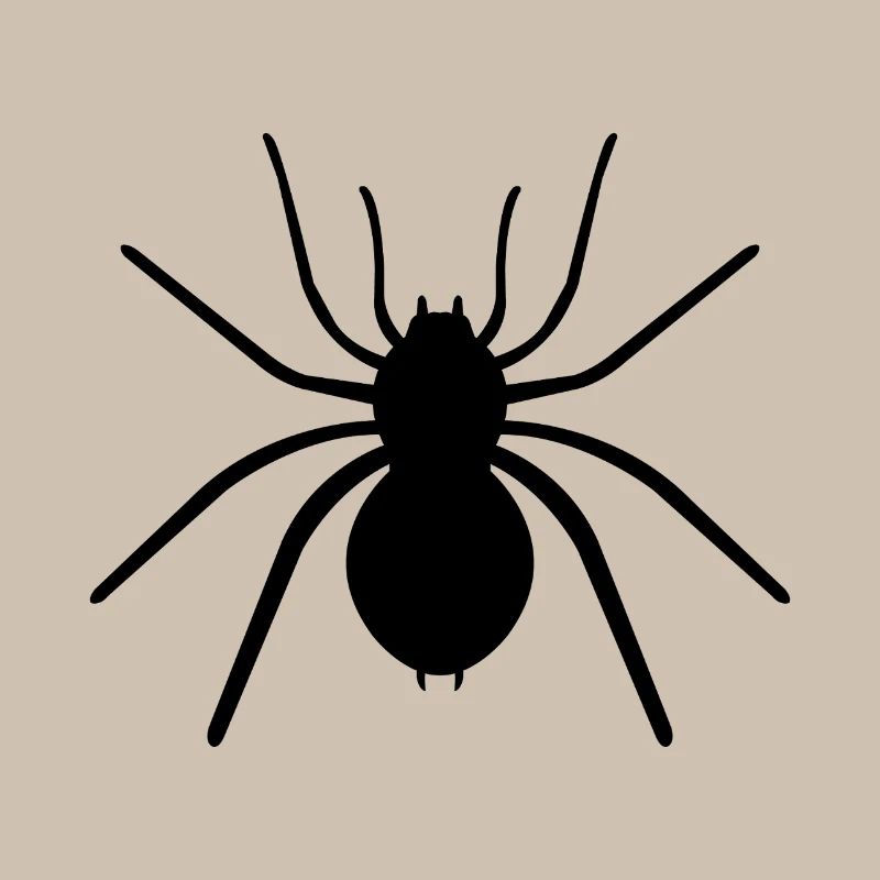 araignée