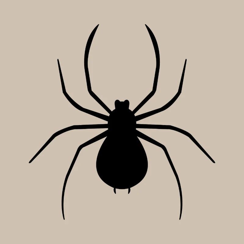spider