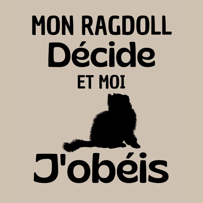 Chat mignon Ragdoll 