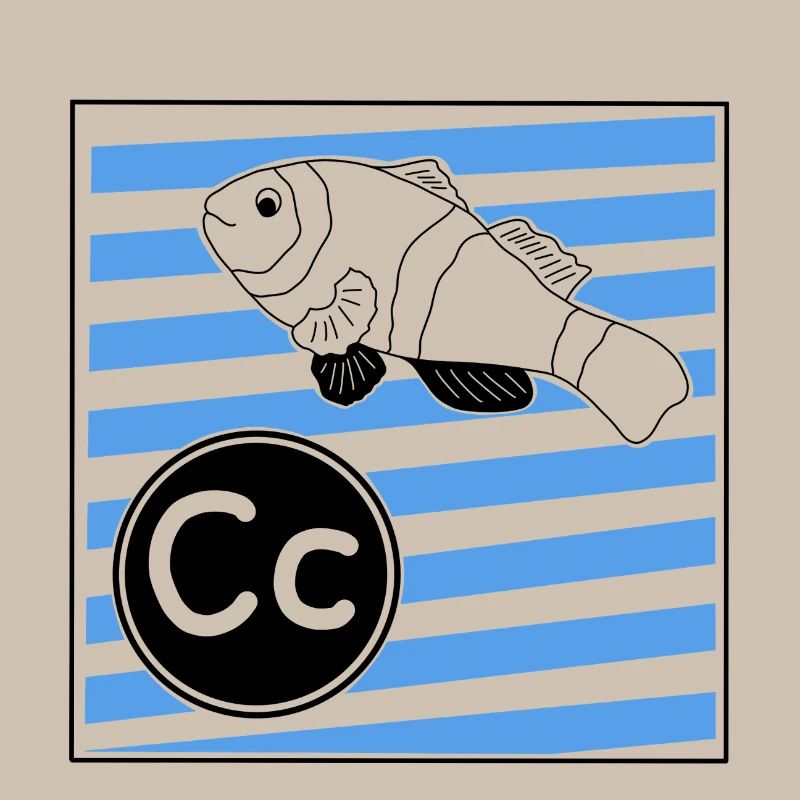 C wie Clownfisch 