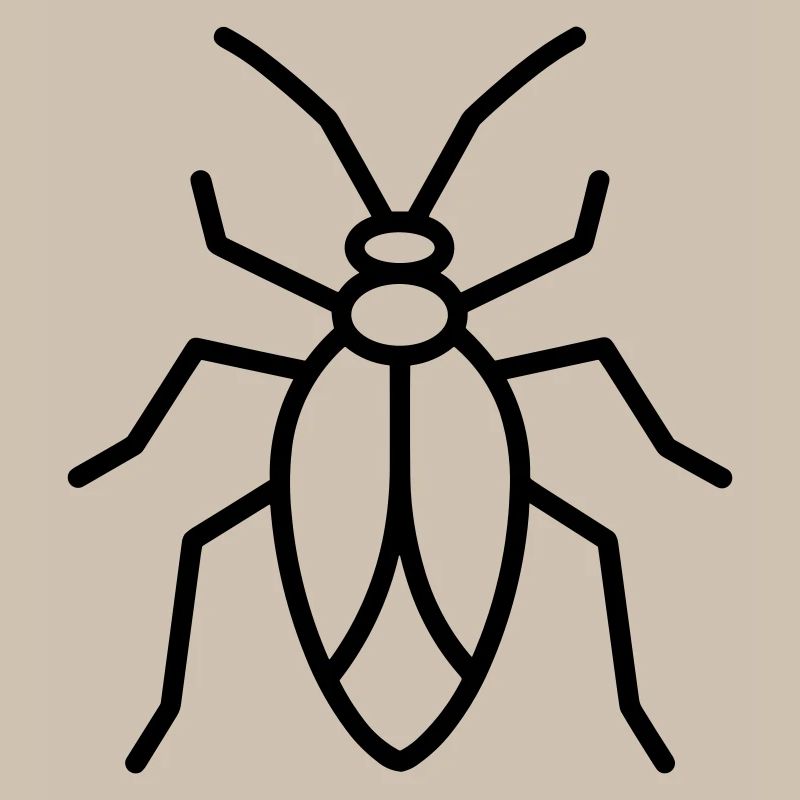 Aphid
