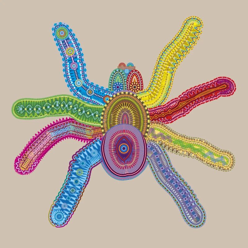 Tiefsee-Spinne