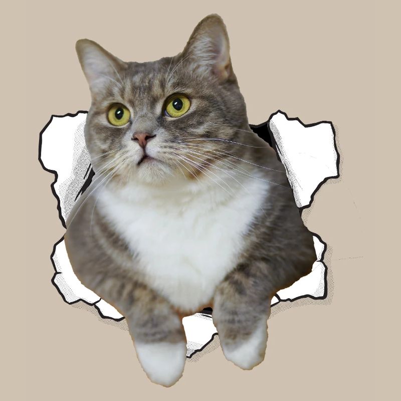Chat mignon qui sort du trou - Dessin drôle de chat