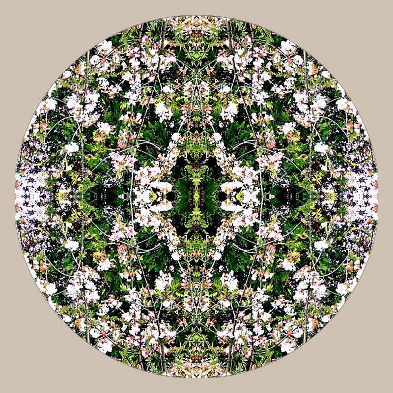 Source du Mandala de la Nature à Nuremberg