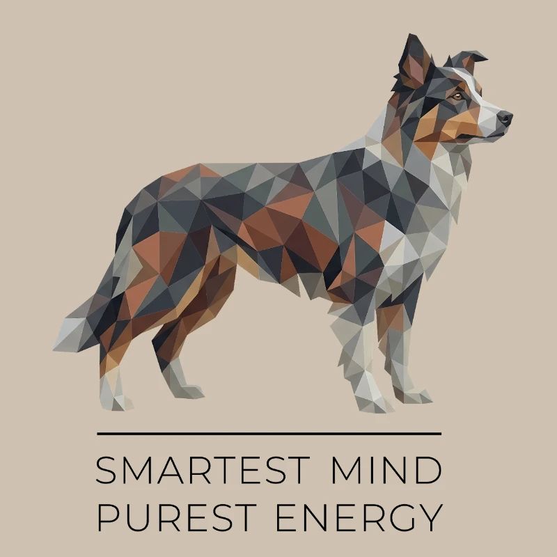 Border Collie Low-Poly Art - Smartest mind