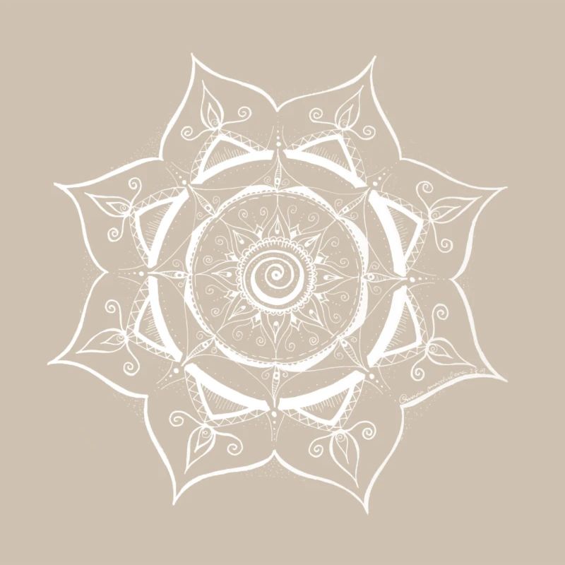 Mandala Spider Web Design