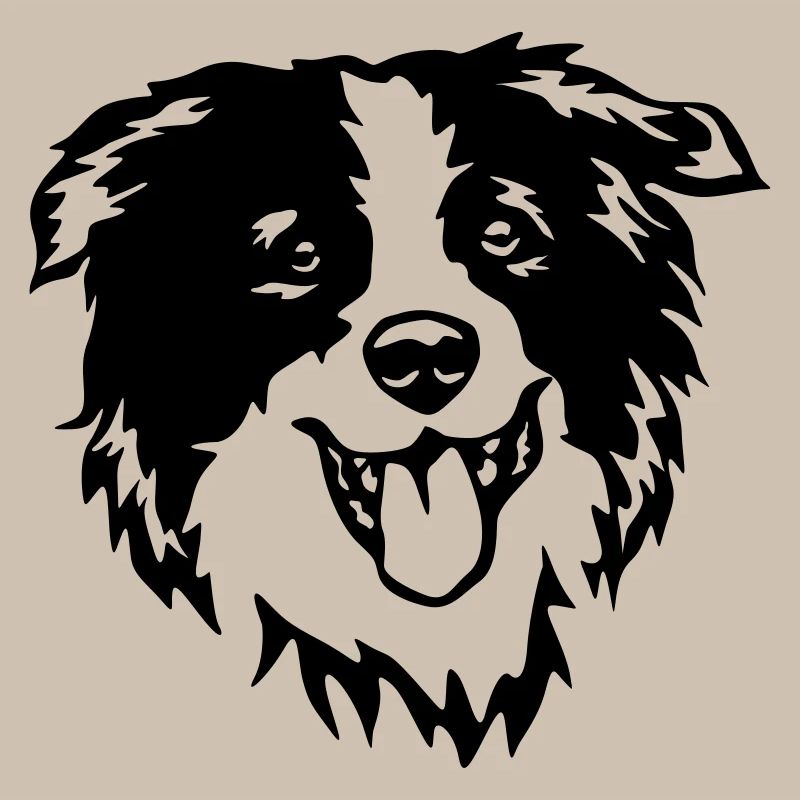 Border Collie head