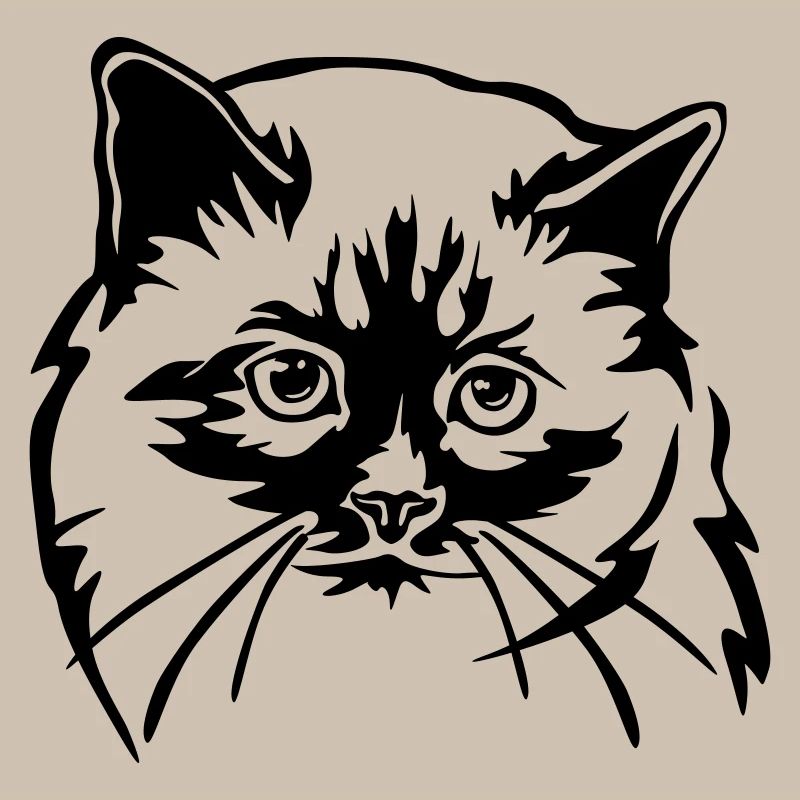 Birma Katze