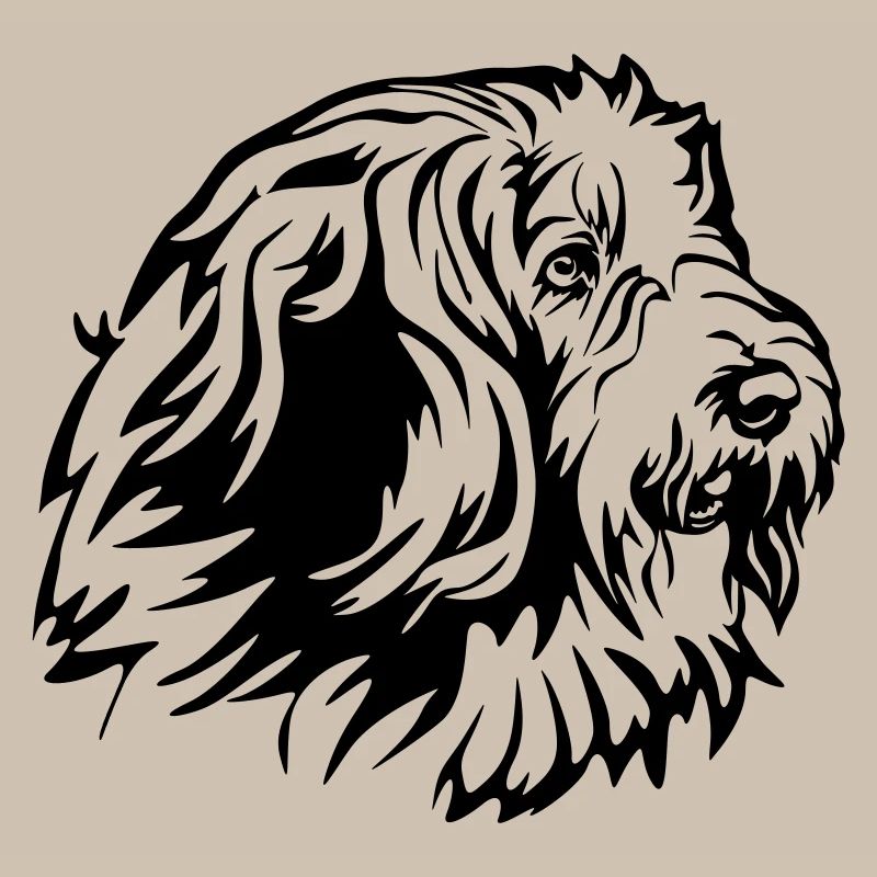 Bearded Collie Kopf