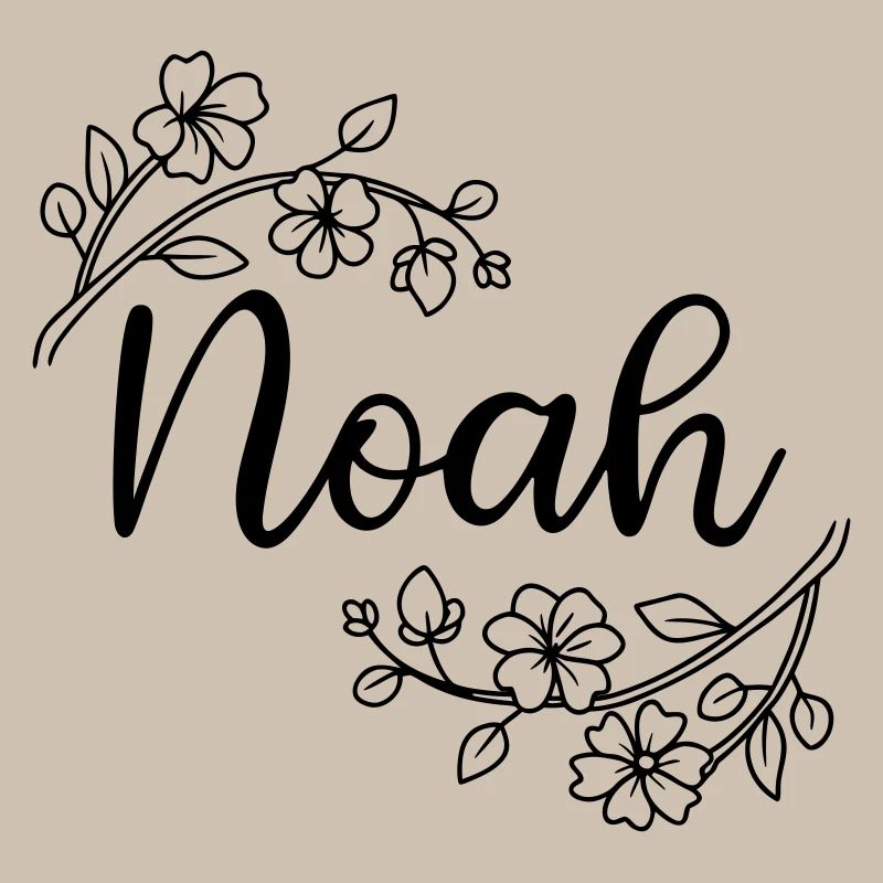 Noé | Nom du nom | Vectographie !