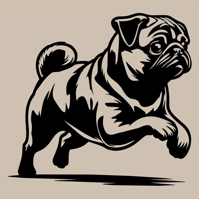 Pug