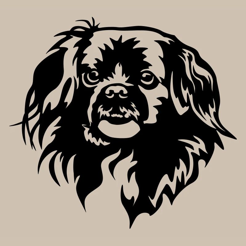 Tibetan Spaniel Head