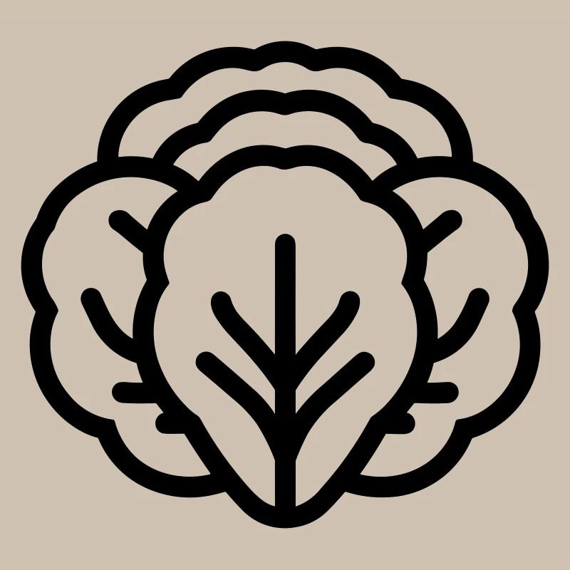 cabbage