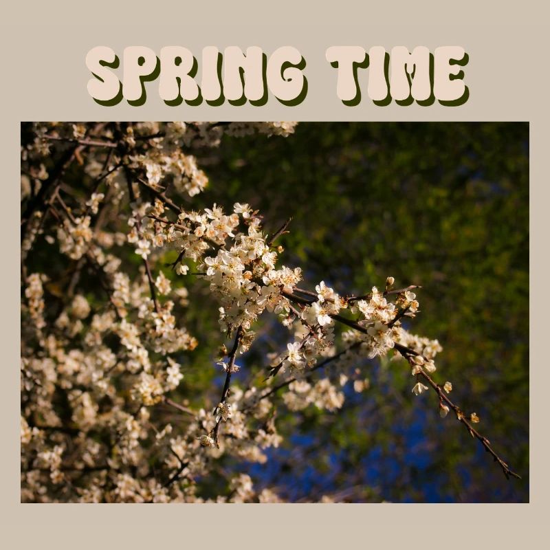 Spring Time