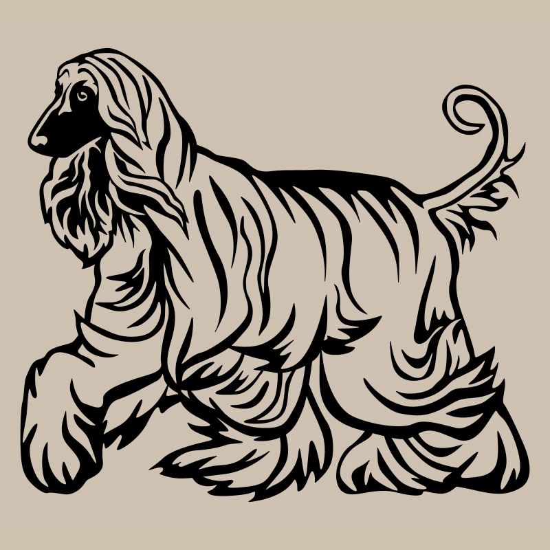 Afghane