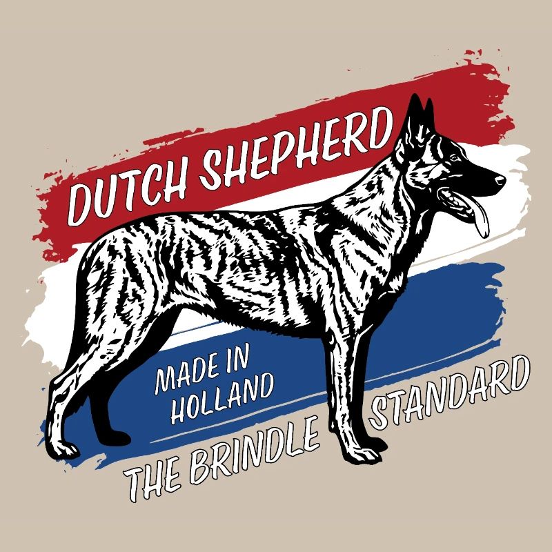Dutch Shepherd – Dutchie